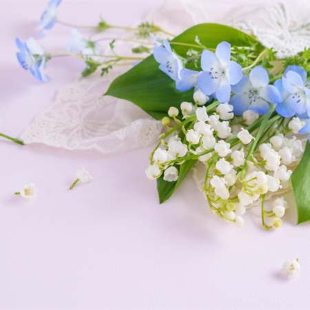 癒しの花