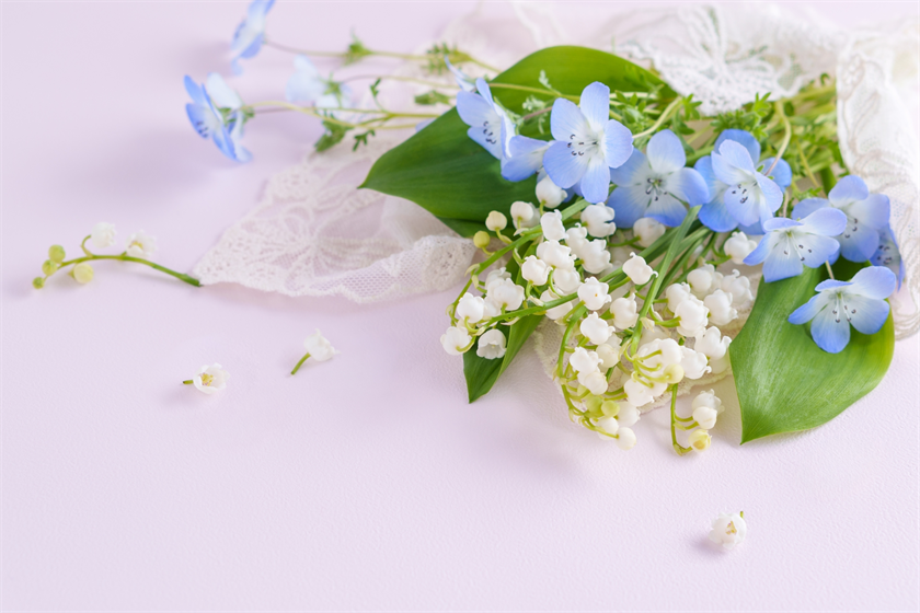 癒しの花
